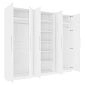 Шкаф распашной Калифорния-6 Белый