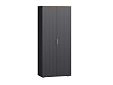Шкаф распашной Салерно 2 Графит