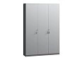 Шкаф распашной Монтана-3 Стальной Серый