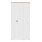 Шкаф распашной Квели 3 Белый